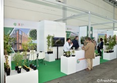 The Battistini Vivai stand.