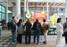 The PGI Clementines of the Gulf of Taranto Protection Consortium was present at Macfrut with a doubel exhibition. The first in the stand of the Puglia Region, the second under the portico of the swimming pools area.