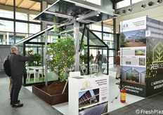 Greentech Energy: project development for large-scale ground-mounted photovoltaic plants.
